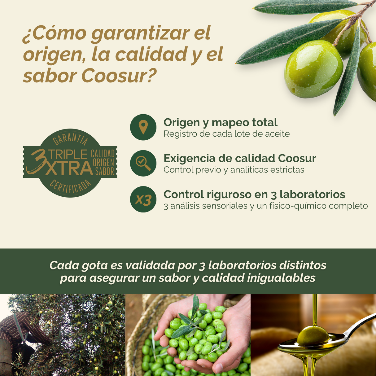 ACEITE DE OLIVA VIRGEN EXTRA ECOLÓGICO 5 L