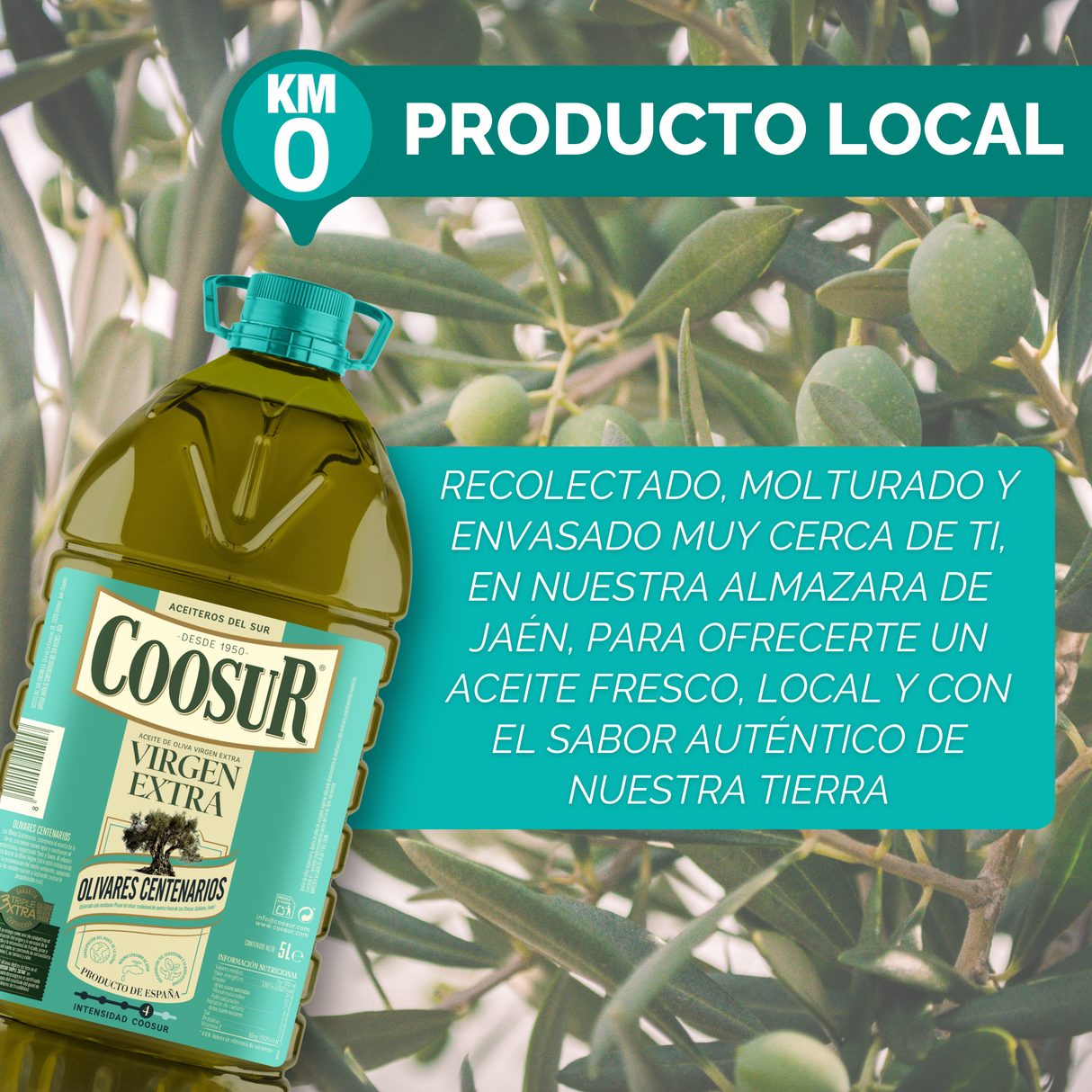 Aceite de oliva virgen extra Coosur Olivares Centenarios 5L