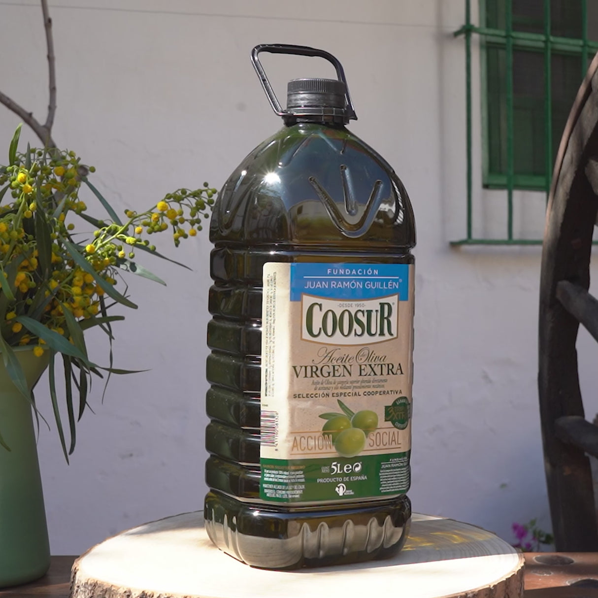 Extra Virgin Olive Oil 5L – FJRG Cooperative Selection