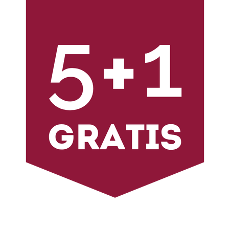 5+1