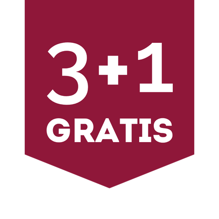 3+1